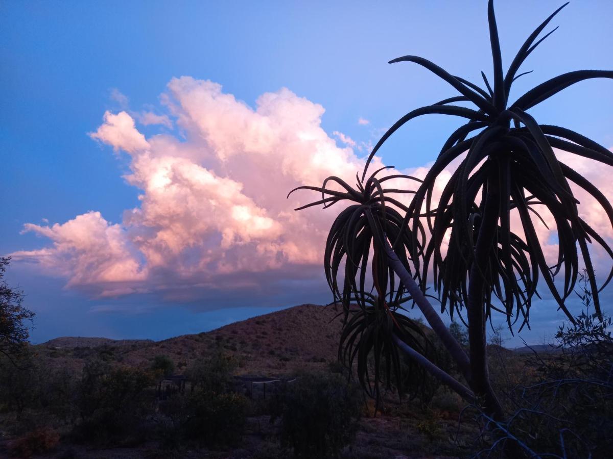 ליידיסמית Wolverfontein Karoo Cottages מראה חיצוני תמונה