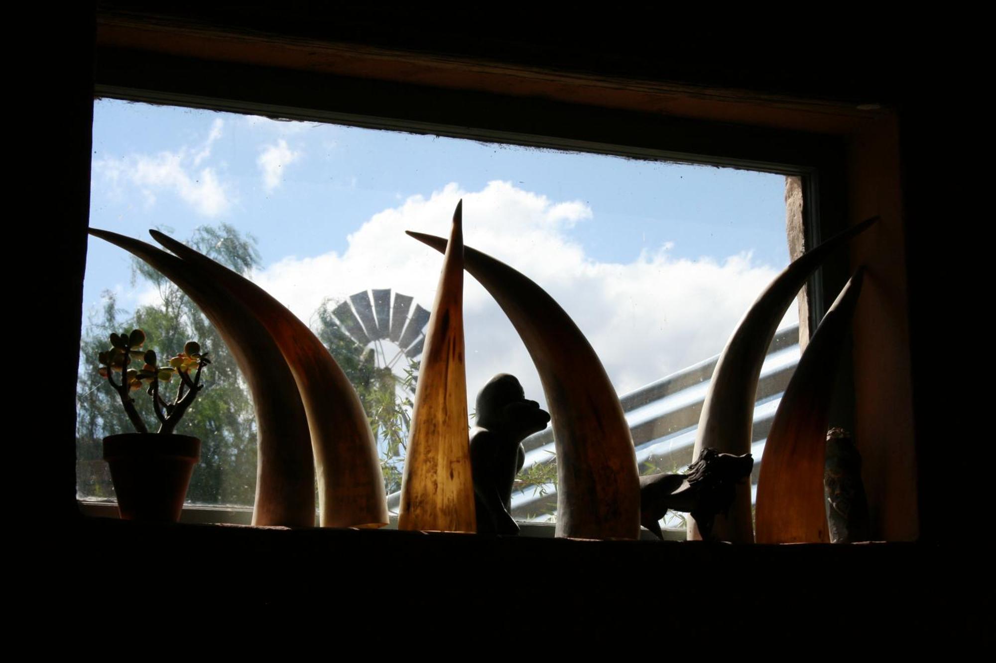 ליידיסמית Wolverfontein Karoo Cottages מראה חיצוני תמונה