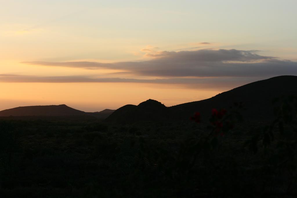 ליידיסמית Wolverfontein Karoo Cottages מראה חיצוני תמונה