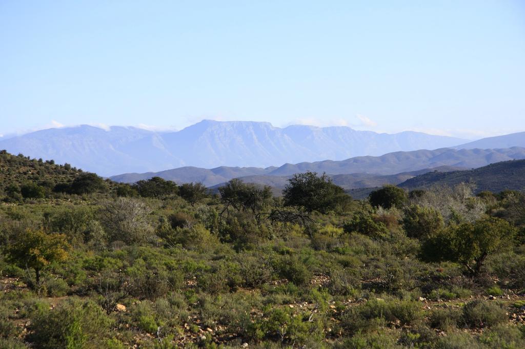 ליידיסמית Wolverfontein Karoo Cottages מראה חיצוני תמונה